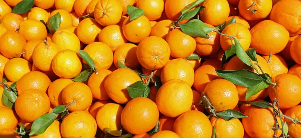 Hintergrund Vieler Reifer Orangen Mit Blättern Zum Verkauf — Stockfoto
