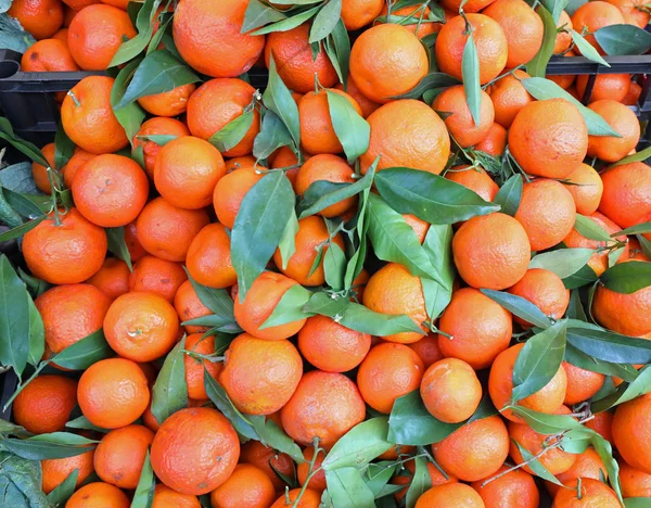 Organic Orange Tangerines Green Leaves Sale Market — Stock Photo, Image