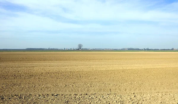 Terreno asciutto della pianura durante la grande siccità estiva — Foto Stock