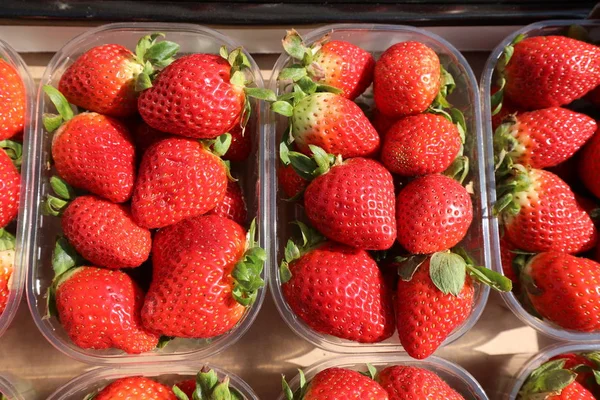 Červené jahody v polích na prodej na Ovocném trhu — Stock fotografie