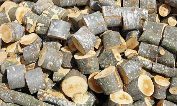 Woodshed of logs and cutted trunks — Stock Photo, Image