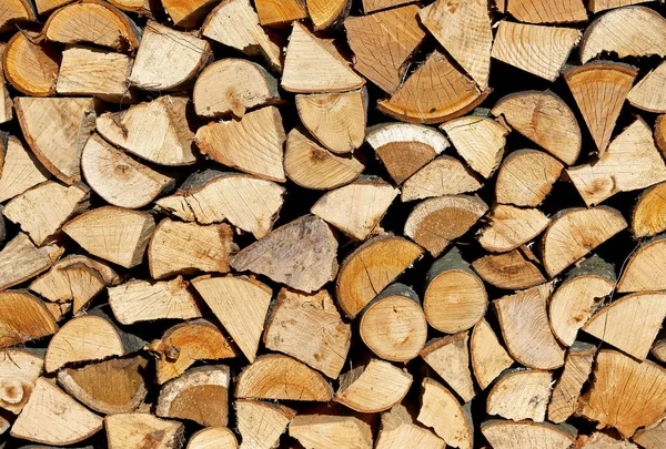 Logs and timbers in the Woodshed — Stock Photo, Image