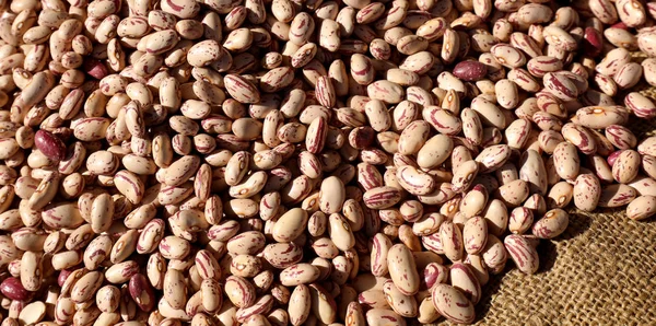 Mnoho fazole na jutovou tkaninu — Stock fotografie