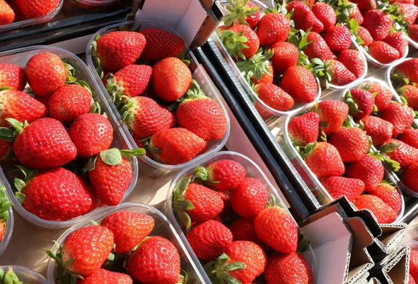 Červené zralé jahody v malé krabičky na místním trhu s ovocem — Stock fotografie