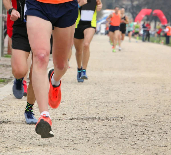 Runners at cross country race — Stock Photo, Image