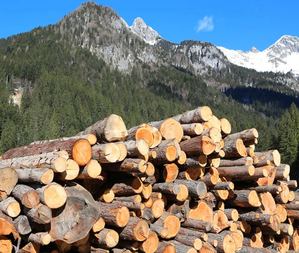 Holzhaufen mit Himmel und Bergen — Stockfoto