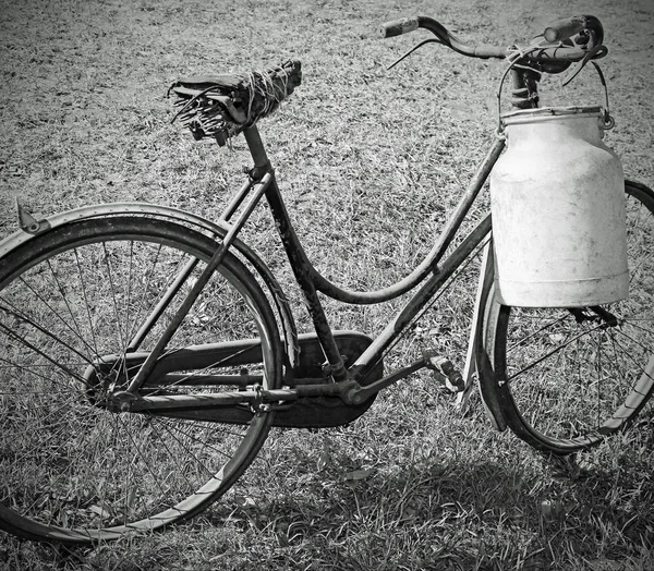 Fiets met bak voor melk vervoer met balck en witte e melken — Stockfoto