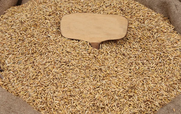 Bag of oat seeds — Stock Photo, Image