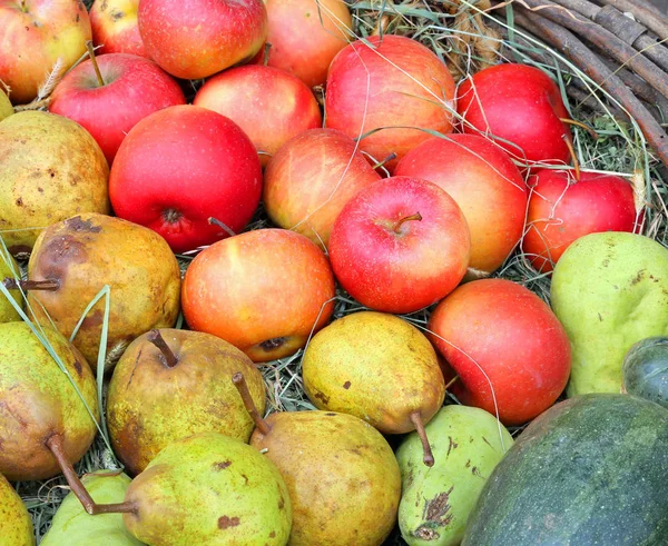 Äpfel und Birnen im Korb — Stockfoto