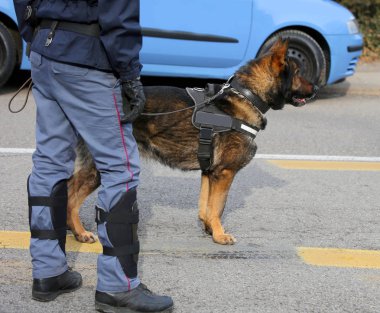 Bomba tanımlamak için polisin köpek Canine ünitesi