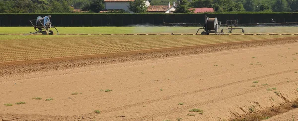 Sistema automático de irrigação no campo cultivado — Fotografia de Stock
