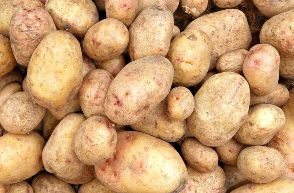 Batatas cruas para venda no supermercado — Fotografia de Stock
