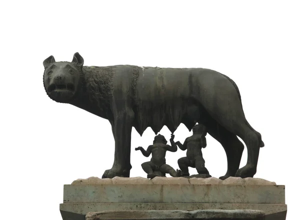 卡皮托利托夫狼称为卢帕卡皮托利纳在意大利语是一个 — 图库照片