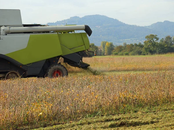 Colheita combinada durante a colheita de cereais no campo — Fotografia de Stock