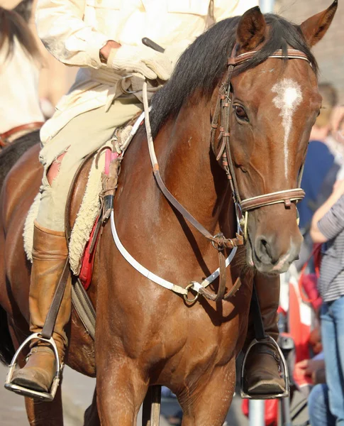 Cowboy com botas montando o cavalo — Fotografia de Stock