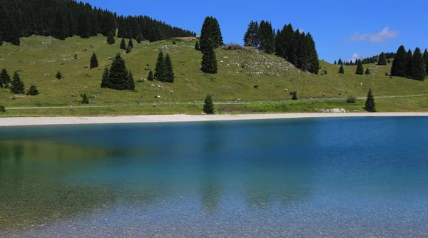 Pequeno lago alpino com água contaminada — Fotografia de Stock