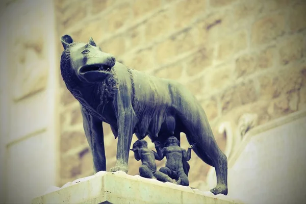 母狼叫卢帕卡皮托利纳在罗马在意大利与雷穆斯和 — 图库照片