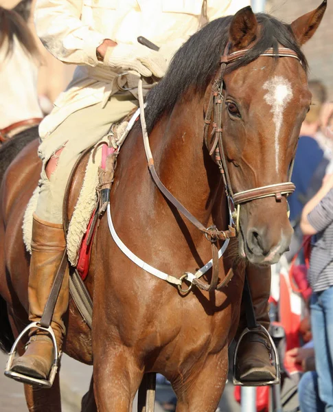 Cowboy with boots  riding the horse — Stock Photo, Image