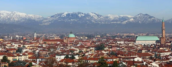 Skyline van Vicenza in Italië met basiliek Palladiana en de kat — Stockfoto