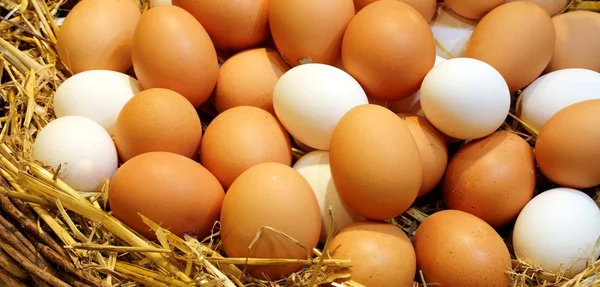 Huevos de gallina recién recogidos en el gallinero —  Fotos de Stock