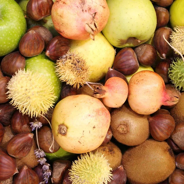 Höst bakgrund med typiska frukter som Kiwi kastanjer Pom — Stockfoto