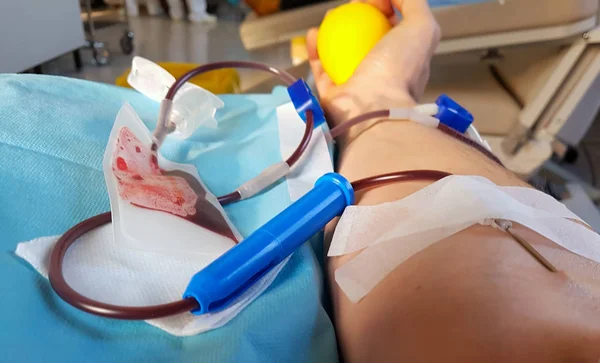 Brazo de voluntario durante la donación de sangre en la cama —  Fotos de Stock