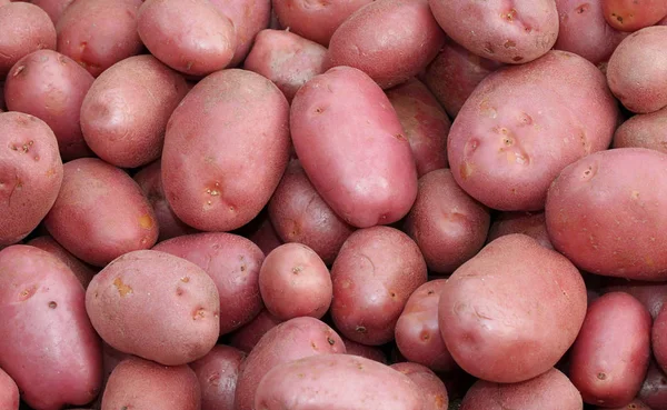 Rote Kartoffeln eine sehr wertvolle Qualität — Stockfoto