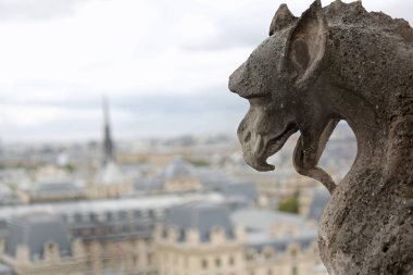 gargoyle dilini dışarı ile efsanevi kanatlı canavar 