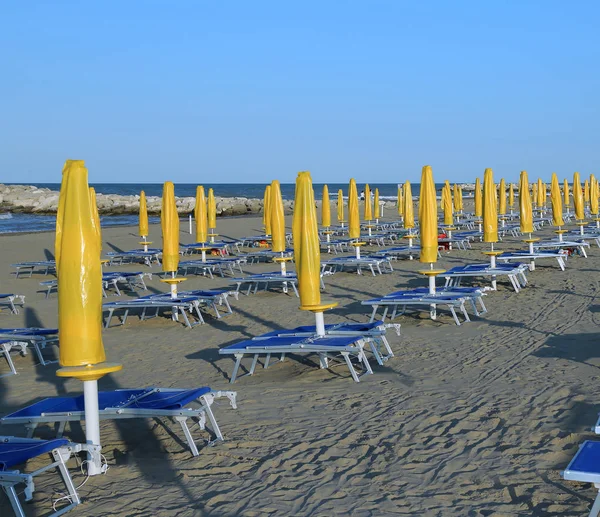 Žluté slunečníky na mořské pláži s lehátky — Stock fotografie