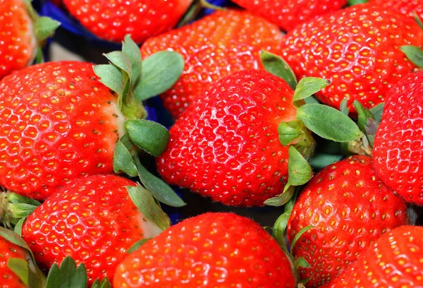 成熟草莓在市场上出售 — 图库照片