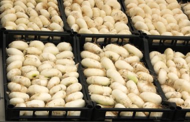 manav dükkanı ve satılık beyaz soğan birçok kutu