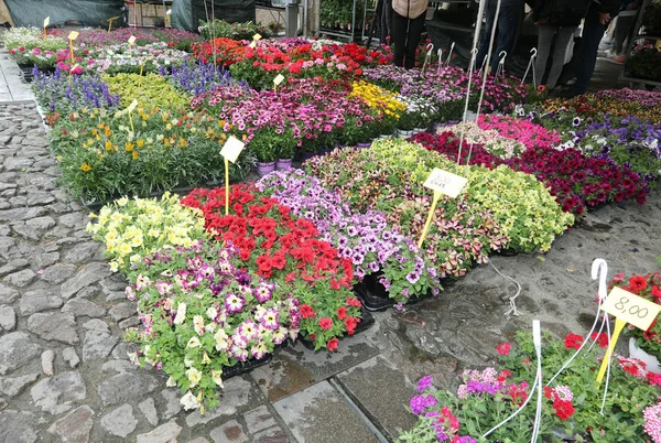 多くの花を持つアルフレスコ市場 — ストック写真