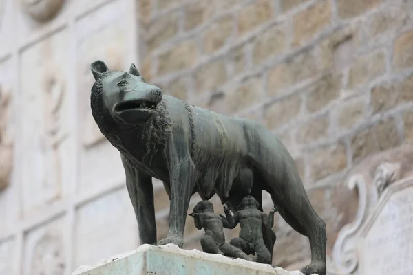 Lobo en Roma con Remo y Rómulo —  Fotos de Stock