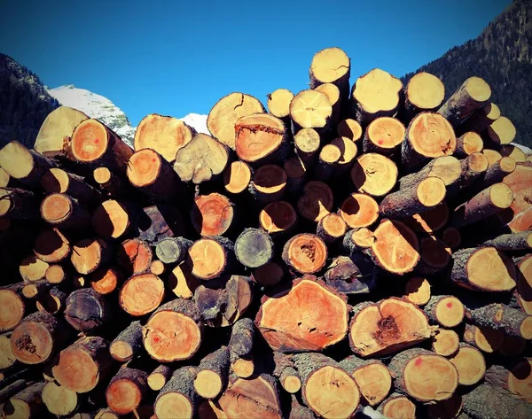 Cut logs by the lumberjack and the pile of wood with old toned e — Stock Photo, Image