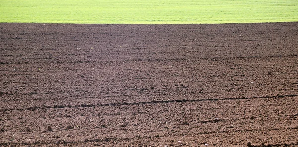 Gekankeld veld in het veld klaar voor het zaaien van granen — Stockfoto