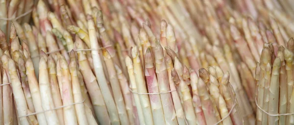 Many big ripe white asparagus for sale at the greengrocer — Stock Photo, Image