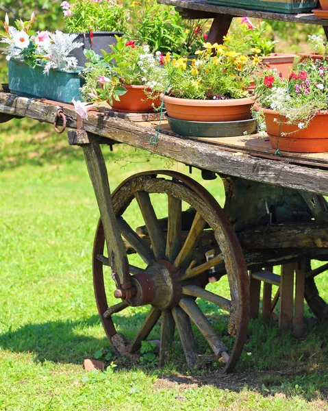 Drewniany wagon z kwiatami doniczkowymi w lecie — Zdjęcie stockowe