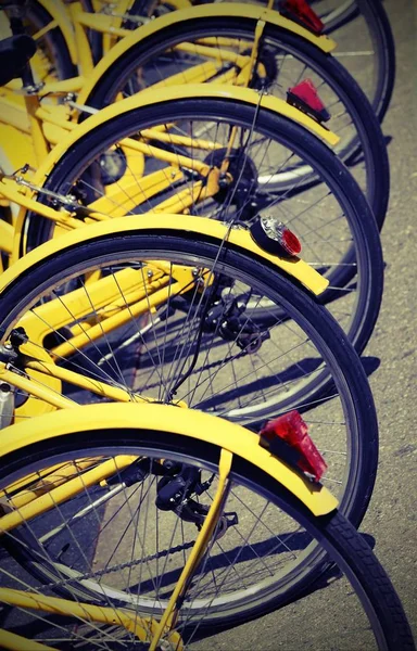 Yellow bikes in the park — Stock Photo, Image