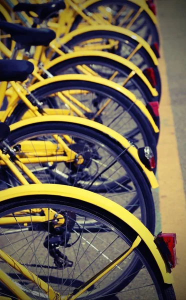 şehirde paylaşım bisiklet sisteminin birçok park bisiklet