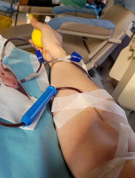 Young volunteer during the donation blood in the bed of a medica — 스톡 사진