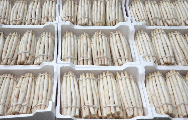 Boxes of polystyrene full of white asparagus for sale in the sta — Stock Photo, Image