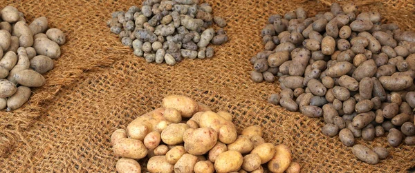 Batatas cruas para venda — Fotografia de Stock