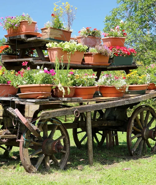 Wagon met potten van bloemen in de weide in de bergen — Stockfoto