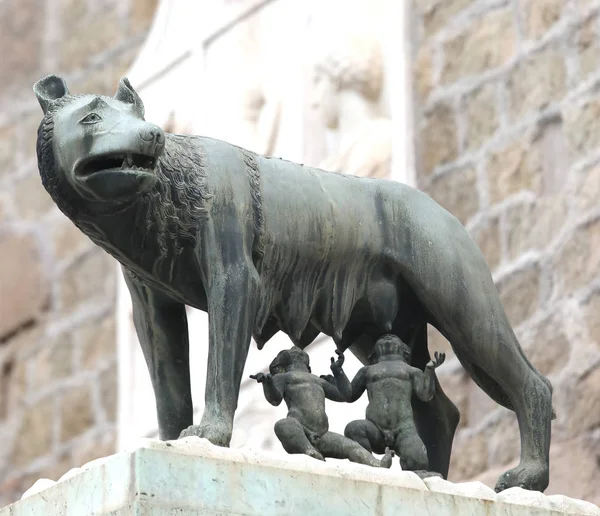 Estatua de lobo capitolino también llamada LA LUPA en italiano Languag —  Fotos de Stock