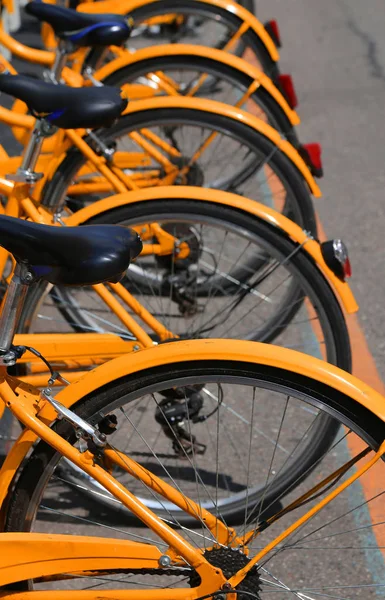 Bicycles in the bicycle rack of the urban bike-sharing system — Stock Photo, Image