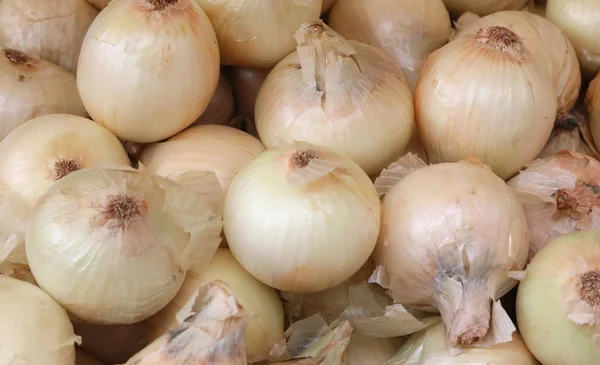 Fondo de cebollas blancas orgánicas —  Fotos de Stock