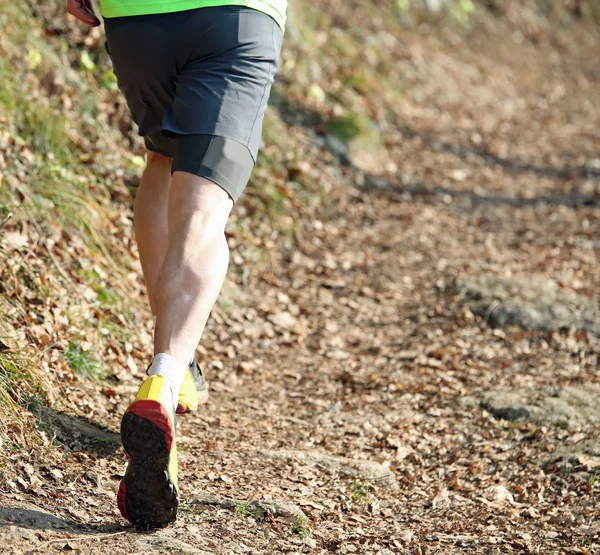 athlete during a cross-country running race on the path in the m