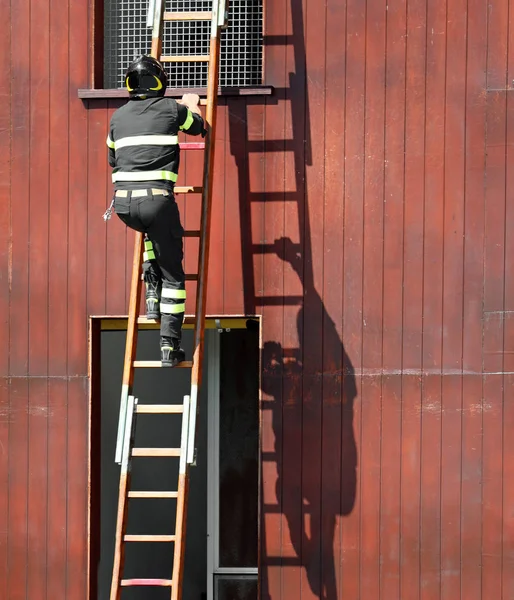Ejercicios de rescate con la escalera y el bombero —  Fotos de Stock