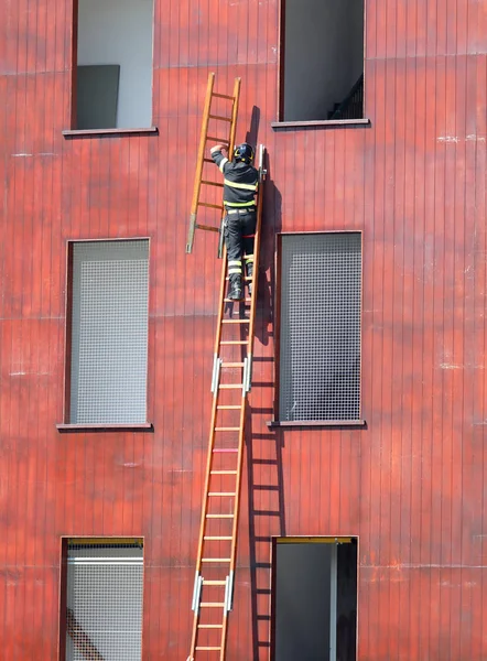 Exercícios de resgate com a escada e bombeiro — Fotografia de Stock