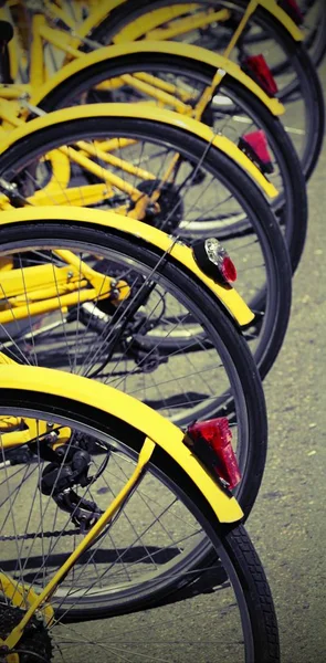 Припаркованные желтые велосипеды системы обмена велосипедов в городе с — стоковое фото